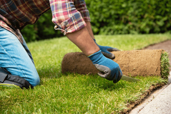 Spark Landscaping