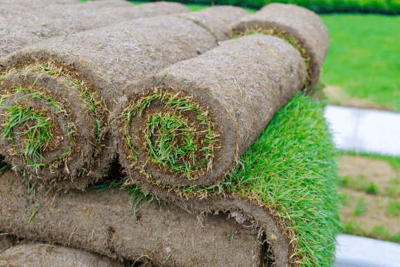 Spark Landscaping